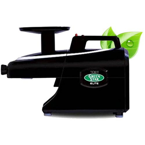 Green star juicer on sale elite